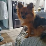 Patsy Weaver - @patsyweaver73 - Instagram