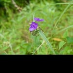 @patsy_weaver - Instagram