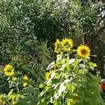 Patsy Weaver - @patsyweaverplus4 - Instagram