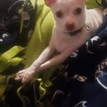 Patsy Weaver - @patsyweaver58 - Instagram