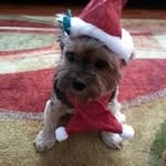 Patsy Weaver - @patsyweaver - Instagram