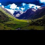 @patsy_welch - Instagram