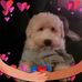 Patty Westfall Cielec - Facebook