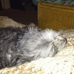 Patsy Wheeler - @patsiewheel - Instagram