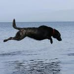 Patsy Wheeler McCowan - @patsymccowan - Instagram
