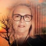 Patsy Catlin Whitehead - @patsycatlinwhitehead - Instagram