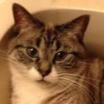 Patsy whitfield - @patsy_whitfield1949 - Instagram