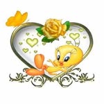 Patricia Wiley - @pattywiley428 - Instagram
