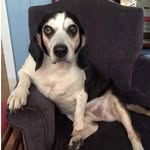 @patsywiley - Instagram