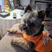 Patsy Bowling Wimmer - Facebook
