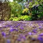 Patsy de Winter - @winterpatsyde - Instagram