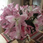 Patsy Winter - @patsywinter33 - Instagram