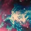 Patty Wray - @patty.wray - TikTok