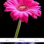 Patsy Zeigler - Facebook