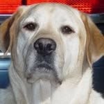 Patterson Miller Poulson - @pattersonpoulson - Instagram