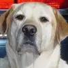Patterson Miller Poulson - @patterson.miller - TikTok