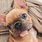 Sheri Patterson Miller - @happymillergirl1 - Instagram