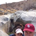Patti Abbott - @po_abbott - Instagram