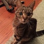 Patti Alexander - @patti_alexander - Instagram