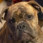 Patti Altman - @pssa.errn - Instagram