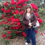 Patti Arnold - @pattissnapshots - Instagram