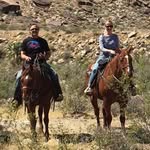 Patti Ayers-Winkler - @pattiayerswinkler - Instagram