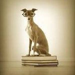Patti Bateman - @pbateman_1 - Instagram
