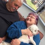 Patty Bateman - @batfairb - Instagram