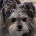 Patti Bates - Facebook