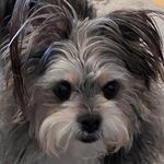 Patti Bates - @pattibates7482 - Instagram