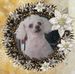 Patti Bates - Facebook