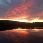 Patti Stack Bates - @stackbates - Instagram