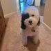 Patti Baumann - Facebook