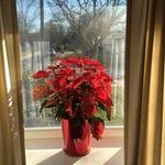 Patti Baumgartner - @pattibaumgartner - Instagram