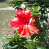 Patti Beard - @patti.beard - TikTok