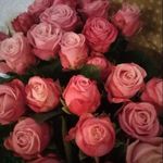 Patti Benson - @pattibenson36 - Instagram