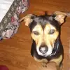 Patti Benson - @patti.benson - TikTok