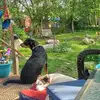 pattibensonwarren - @patti.bensonwarre - TikTok