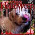 Patti Berg - Facebook
