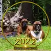 pattibergeron776 - @pattibergeron776 - TikTok