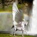 Patti Bonner - Facebook