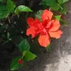 pattibritton235 - @pattibritton235 - TikTok