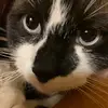 Patricia Buxton - @patricia.buxton8 - TikTok