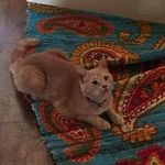 Patti Buxton - @pattibuxton1523 - Instagram