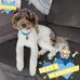 Patti Cain - Facebook