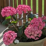 Patti Carroll - @patti.carroll.378 - Instagram