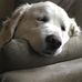 Patti Carroll - Facebook