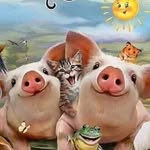 Patti J. Carroll - @pattij.carroll - Instagram