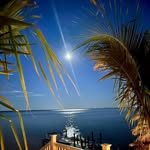 Patti Coe Miller - @obx4patti - Instagram