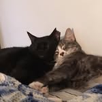 Patti Conway - @iu25pc - Instagram